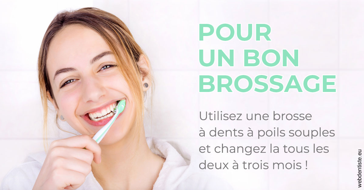 https://www.dr-dorothee-louis-olszewski-chirurgiens-dentistes.fr/Pour un bon brossage 2