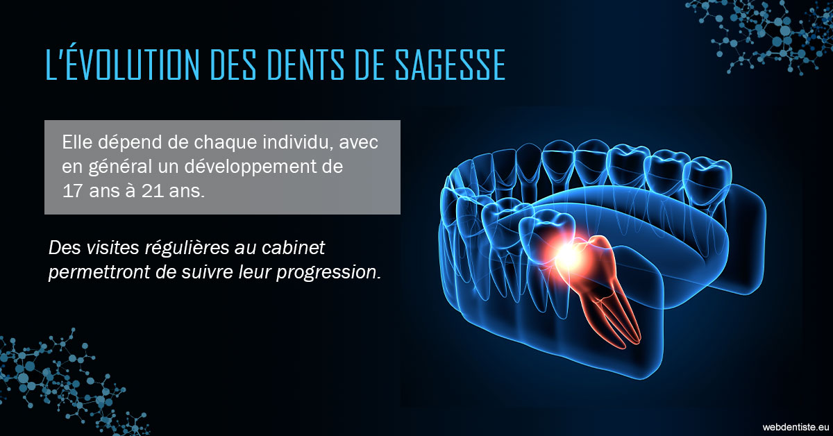 https://www.dr-dorothee-louis-olszewski-chirurgiens-dentistes.fr/2023 T4 - Dents de sagesse 01