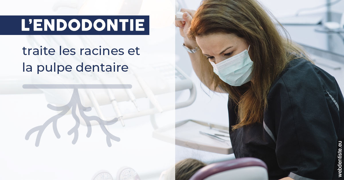 https://www.dr-dorothee-louis-olszewski-chirurgiens-dentistes.fr/L'endodontie 1