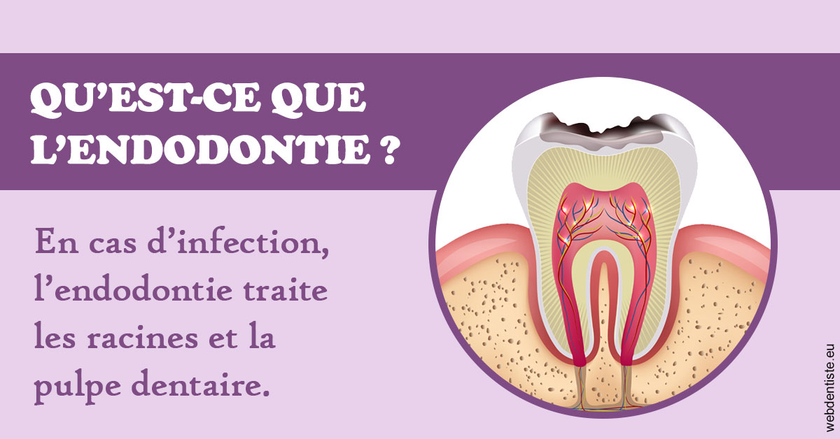 https://www.dr-dorothee-louis-olszewski-chirurgiens-dentistes.fr/2024 T1 - Endodontie 02