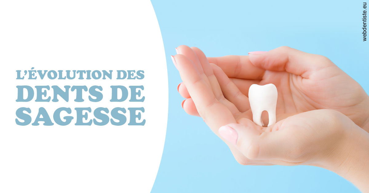 https://www.dr-dorothee-louis-olszewski-chirurgiens-dentistes.fr/Evolution dents de sagesse 1