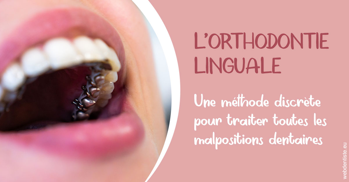 https://www.dr-dorothee-louis-olszewski-chirurgiens-dentistes.fr/L'orthodontie linguale 2