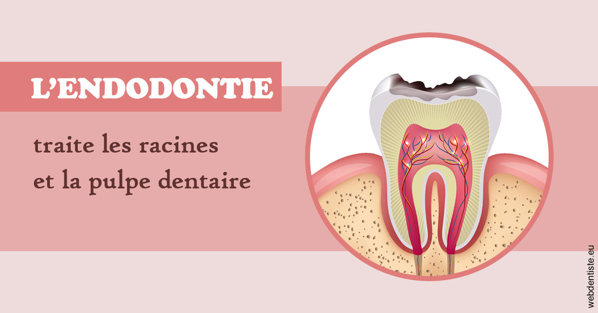 https://www.dr-dorothee-louis-olszewski-chirurgiens-dentistes.fr/L'endodontie 2