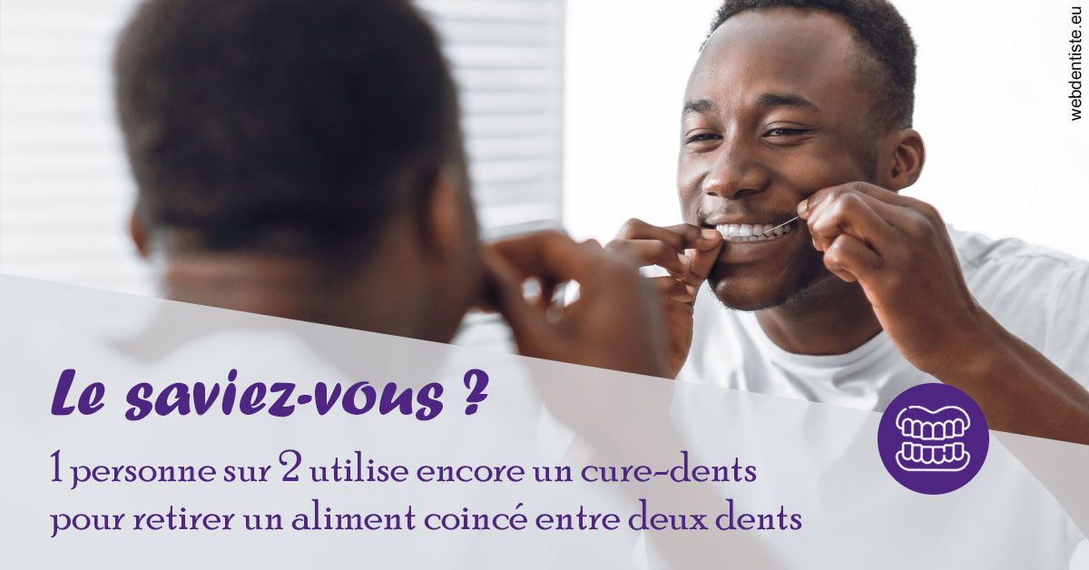 https://www.dr-dorothee-louis-olszewski-chirurgiens-dentistes.fr/Cure-dents 2