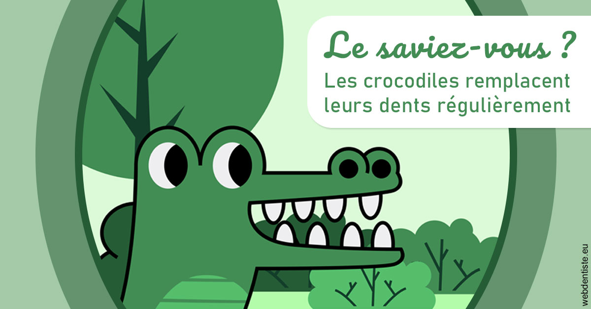 https://www.dr-dorothee-louis-olszewski-chirurgiens-dentistes.fr/Crocodiles 2