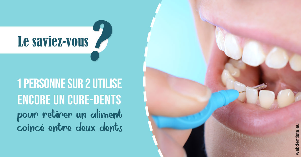 https://www.dr-dorothee-louis-olszewski-chirurgiens-dentistes.fr/Cure-dents 1