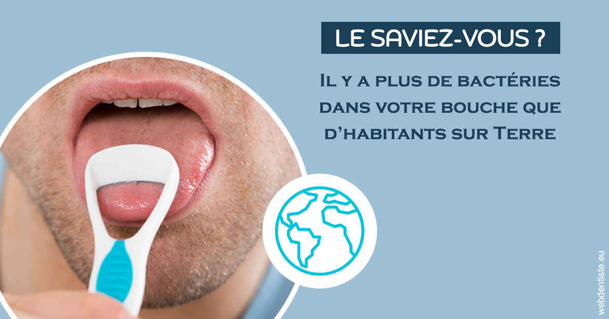 https://www.dr-dorothee-louis-olszewski-chirurgiens-dentistes.fr/Bactéries dans votre bouche 2