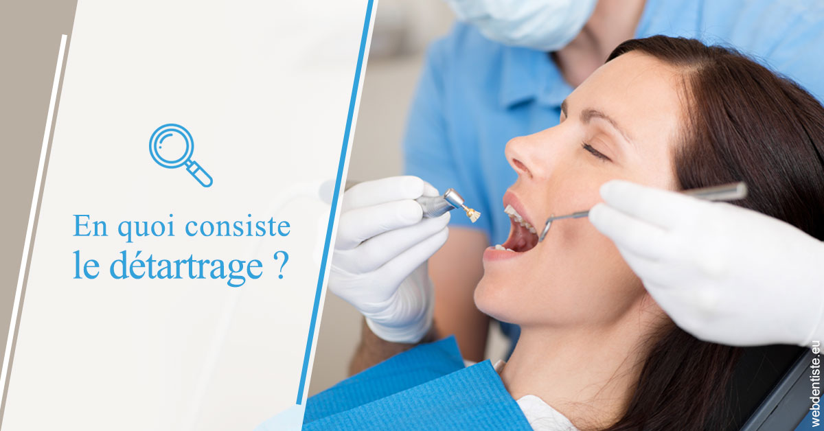 https://www.dr-dorothee-louis-olszewski-chirurgiens-dentistes.fr/En quoi consiste le détartrage