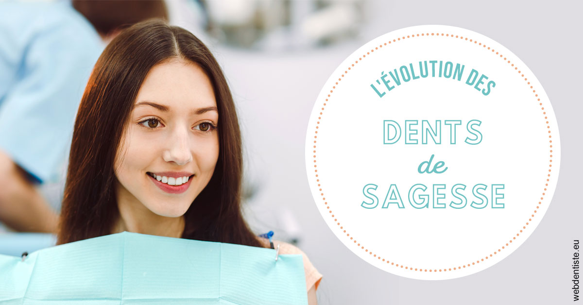 https://www.dr-dorothee-louis-olszewski-chirurgiens-dentistes.fr/Evolution dents de sagesse 2