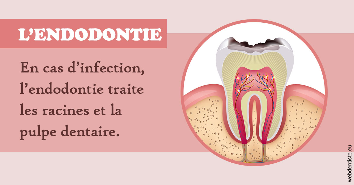 https://www.dr-dorothee-louis-olszewski-chirurgiens-dentistes.fr/L'endodontie 2
